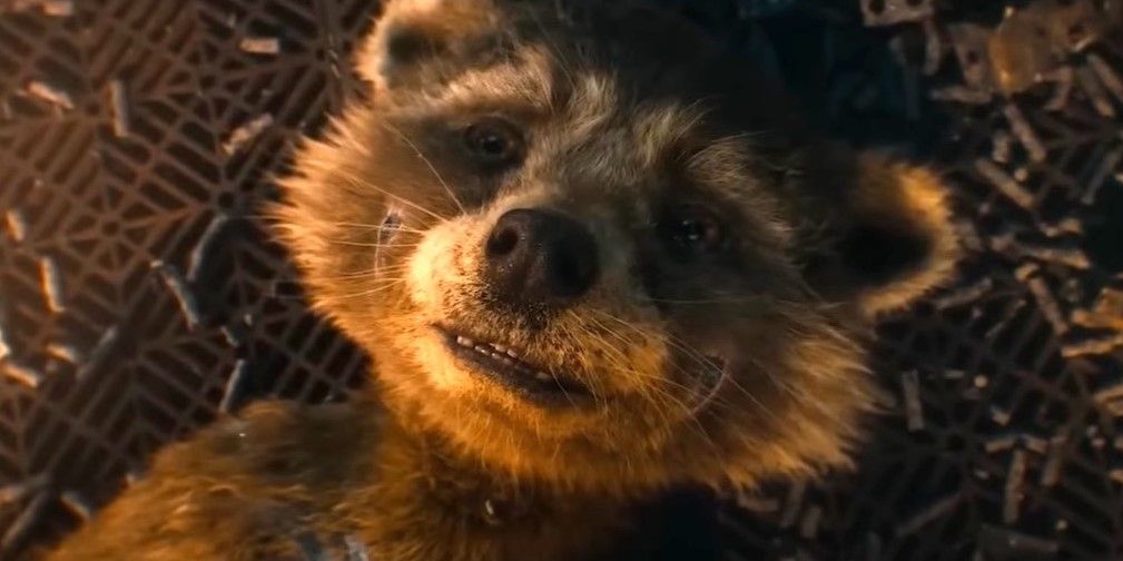 Guardians of the Galaxy Vol. 3: Rocket’s Backstory Explained