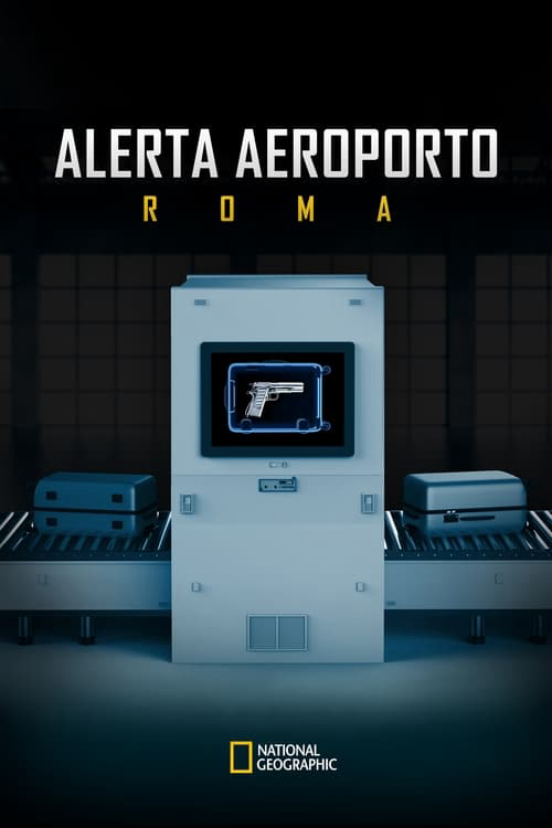 Alerta Aeropuerto poster