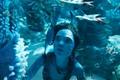 Avatar: The Way of Water: Sigourney Weaver Teases Her "Goofy" Character in the Sequel