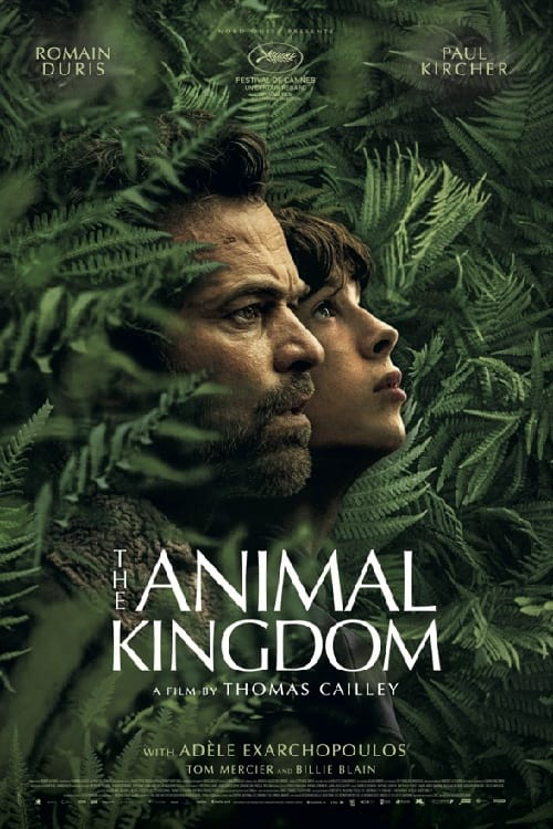 Where to Watch and Stream The Animal Kingdom Free Online