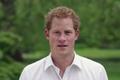 prince-harry-shock-meghan-markles-husband-reportedly-could-return-to-the-royal-fold-to-continue-princess-dianas-legacy-former-protection-officer-predicts