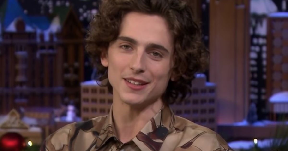 timothe-chalamet-net-worth-whats-next-for-the-dune-actor