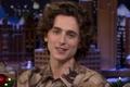 timothe-chalamet-net-worth-whats-next-for-the-dune-actor