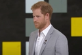 where-does-prince-harry-work
