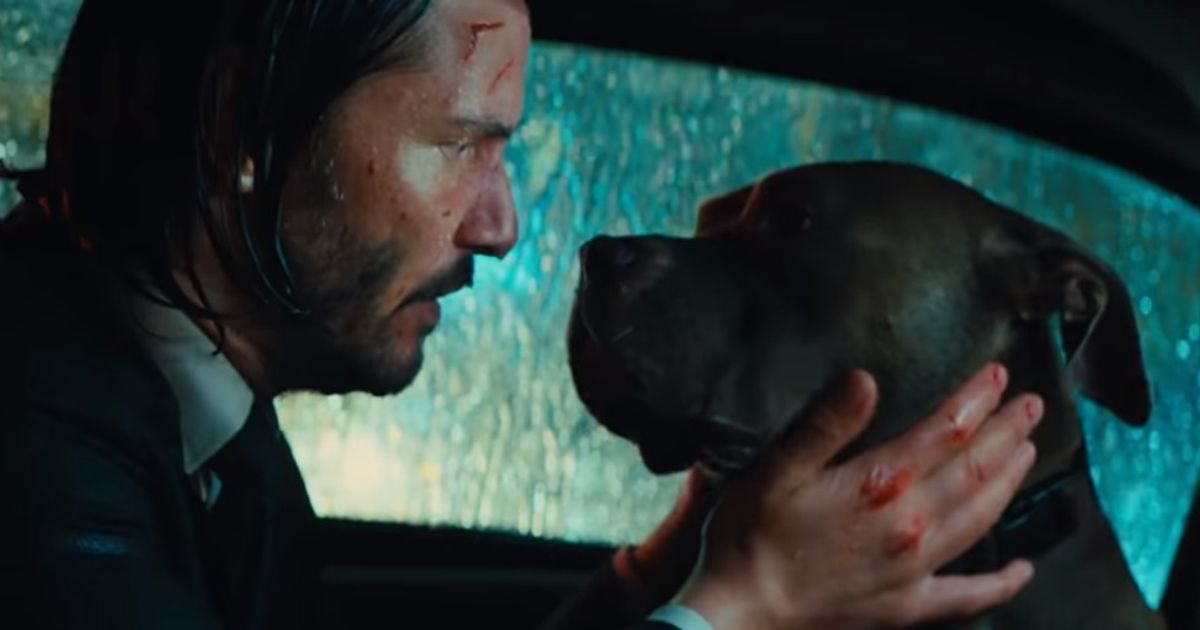 John Wick: Chapter 3 Clip Reveals What Happens To Keanu Reeves' Dog