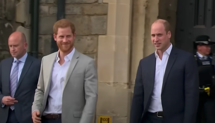 prince-william-dismissed-prince-harrys-romantic-trip-to-botswana-with-meghan-markle-kate-middletons-husband-reportedly-had-brutal-response-about-sussexes-starry-eyed-vacation