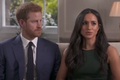 meghan-markle-prince-harry-shock-sussexes-released-christmas-card-after-being-accused-of-delaying-it-to-trump-royal-family