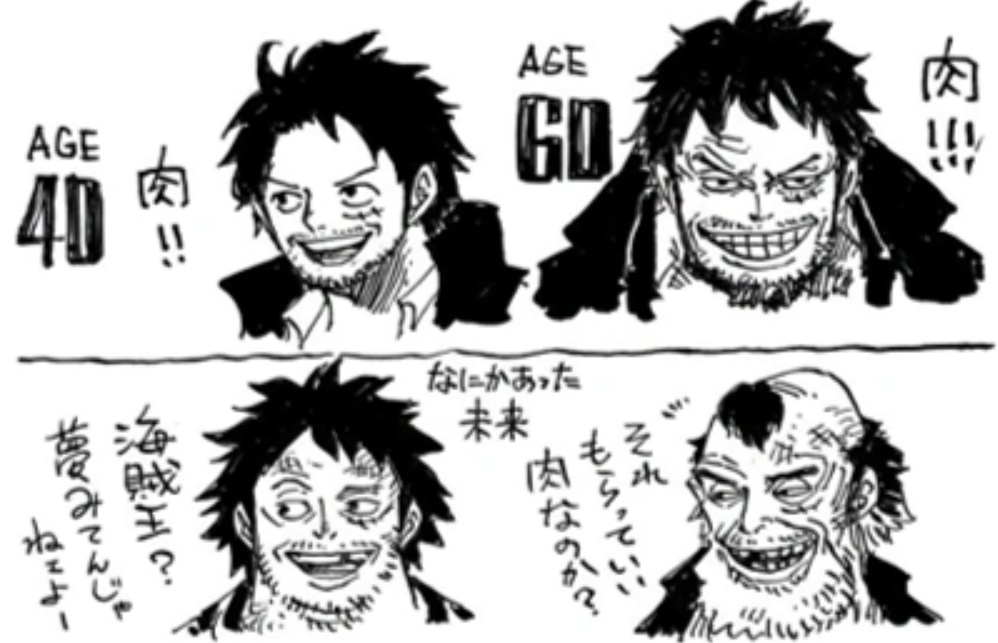 How Old is Luffy