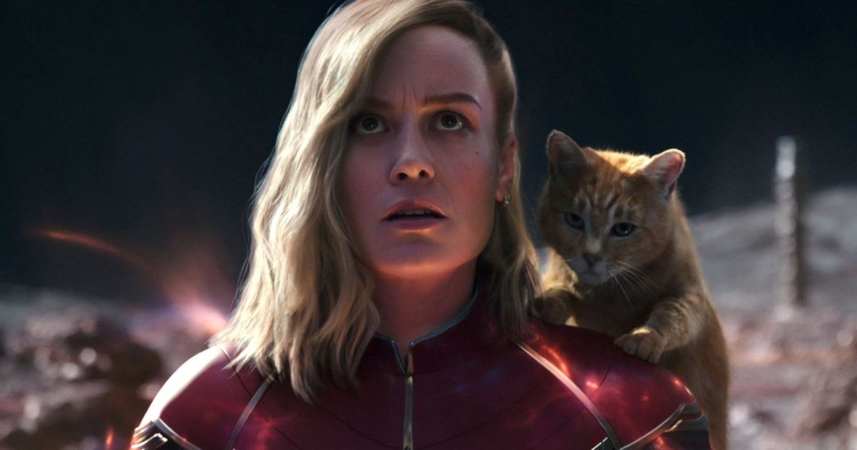 Captain Marvel with Goose