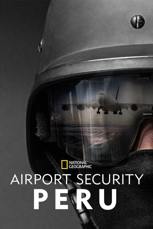Alerta Aeropuerto poster