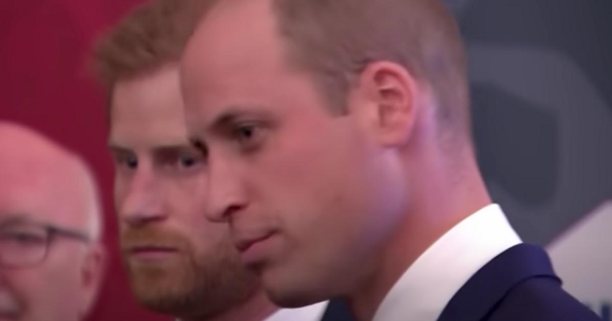 prince-harry-left-prince-william-disappointed-meghan-markles-husband-reportedly-said-he-would-support-his-big-brother-royal-expert-claims