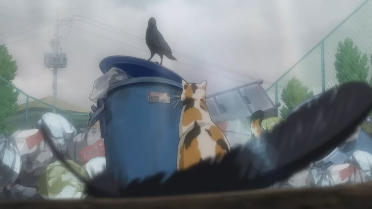 haikyuu garbage dump cat crow