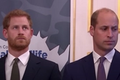 prince-william-harry-shock-king-charles-princess-dianas-sons-were-reportedly-lost-souls-before-they-met-wives-kate-middleton-meghan-markle
