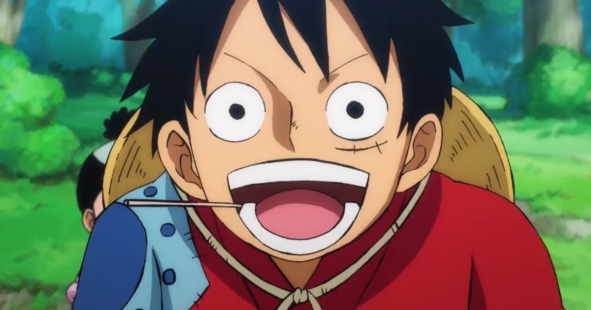 Who Does Luffy End Up With or Marry in One Piece Explained