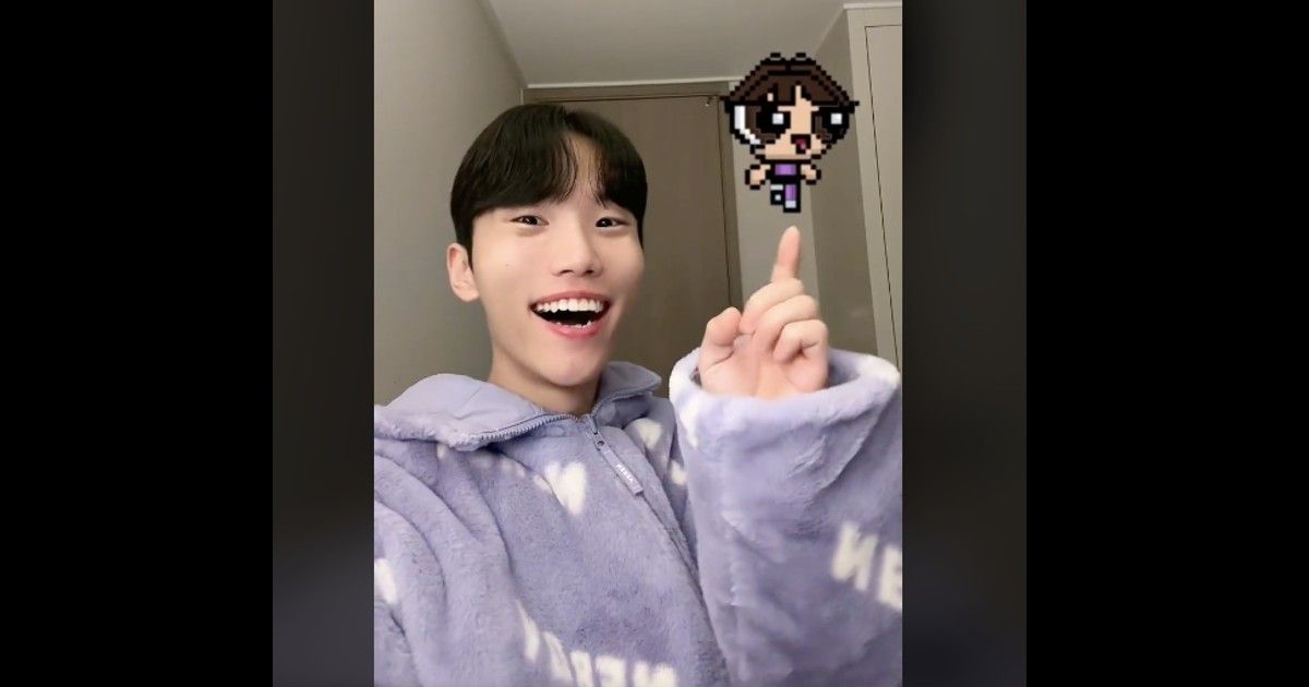 What Happened To Wonjeong? TikTok Star Arrested