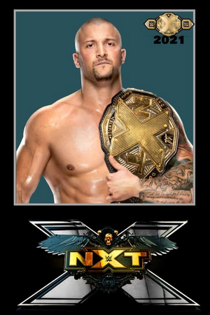 Where to Watch and Stream WWE NXT Season 15 Free Online