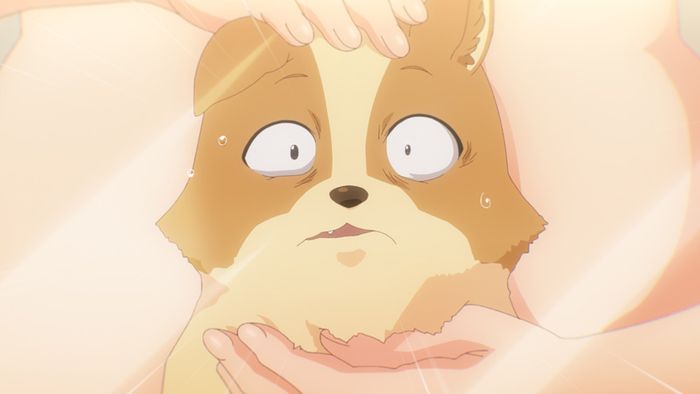 My Life as Inukai-san’s Dog: Will Pochita Ever Return to His Human Form? Pochita