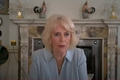 queen-consort-camilla-reportedly-reacts-to-prince-harrys-allegations-against-her-in-spare