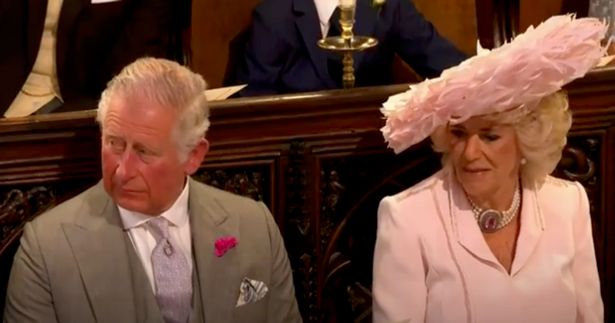 camilla-parker-bowles-shock-prince-harry-allegedly-has-not-forgiven-stepmom-for-affair-with-prince-charles-thinks-he-is-princess-dianas-defender-royal-expert-phil-dampier-claims