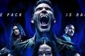 Teen Wolf: The Movie Release Date, Cast, Plot, Trailer, and Everything We Need To Know About the Movie
