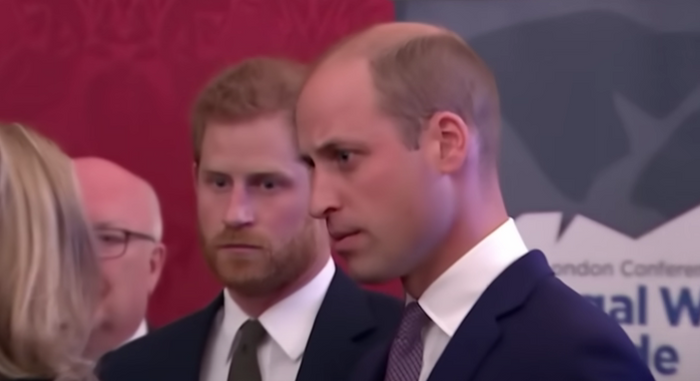 are-prince-harry-and-prince-william-friends