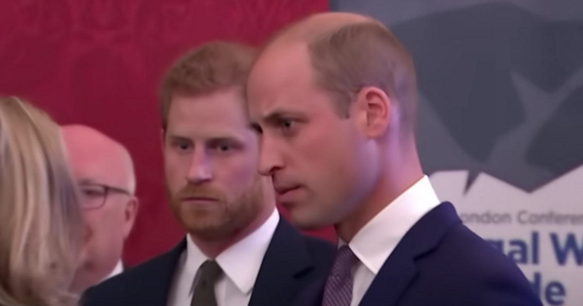 are-prince-harry-and-prince-william-friends