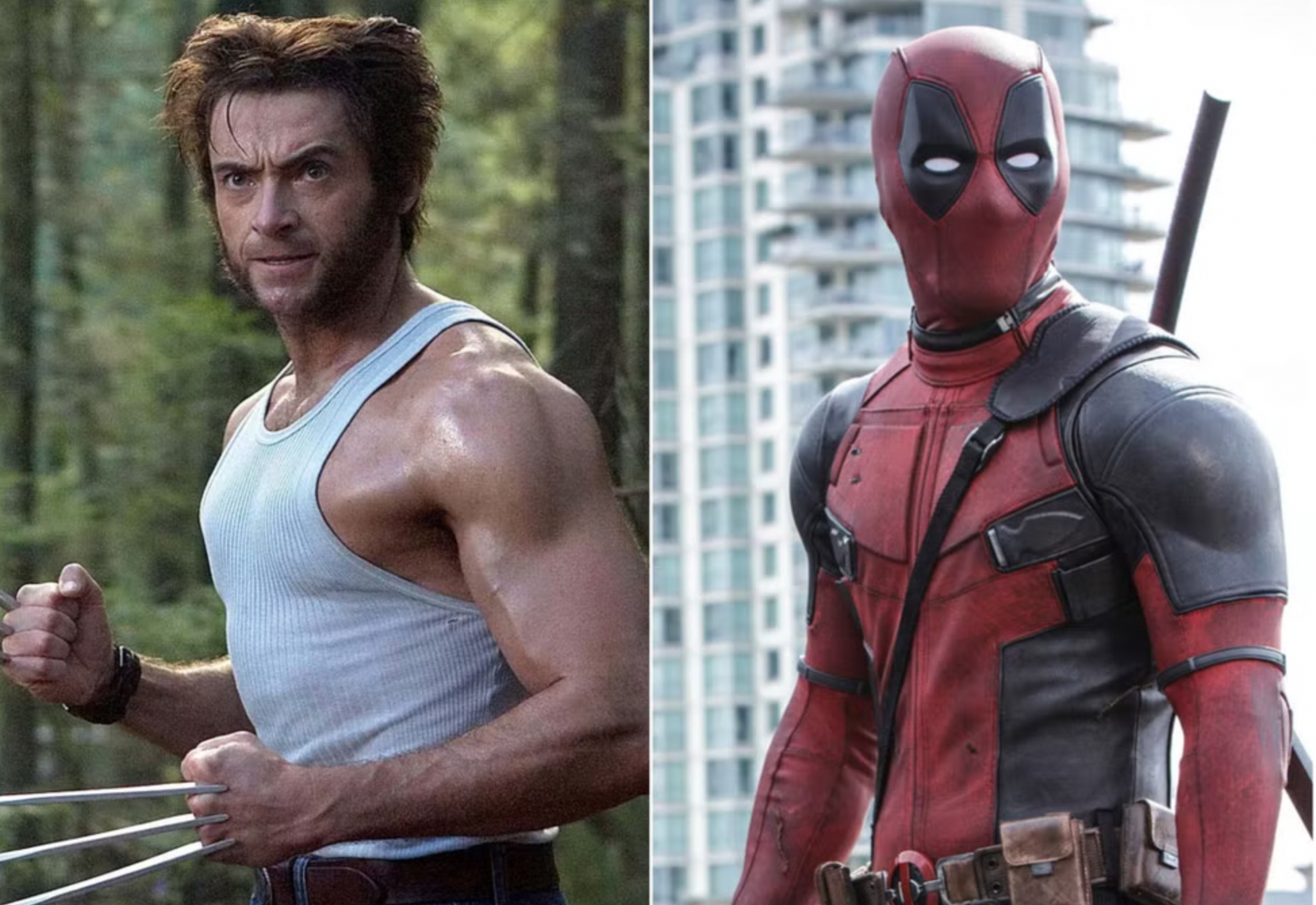 Wolverine vs. Deadpool 