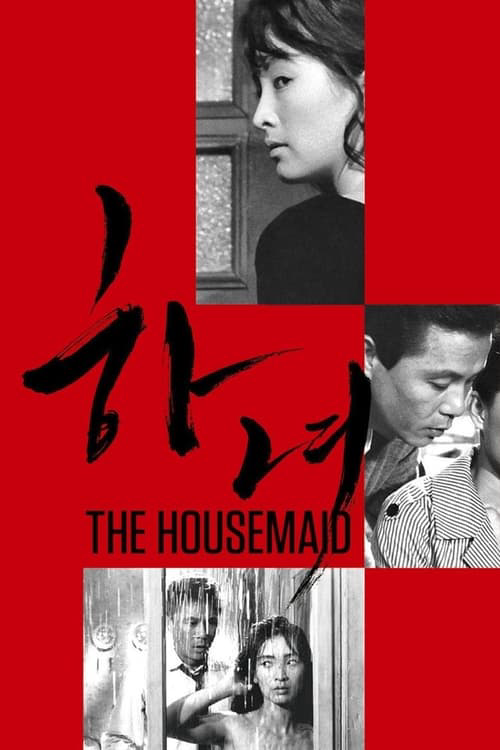 Where to Watch and Stream The Housemaid Free Online