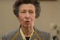 princess-anne-shock-prince-charles-sister-disliked-princess-diana-princess-royal-blamed-william-harrys-mom-following-her-controversial-tell-all