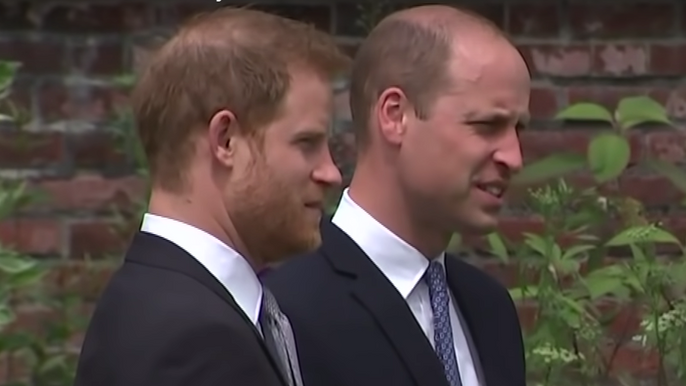 prince-harry-and-prince-william-fight