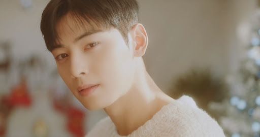 ASTRO Cha Eun Woo Workout 2022 Why Fitness Trainers Praise Him