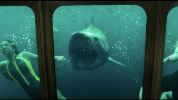 Corinne Foxx as Sasha and a shark in 47 meters down: uncaged