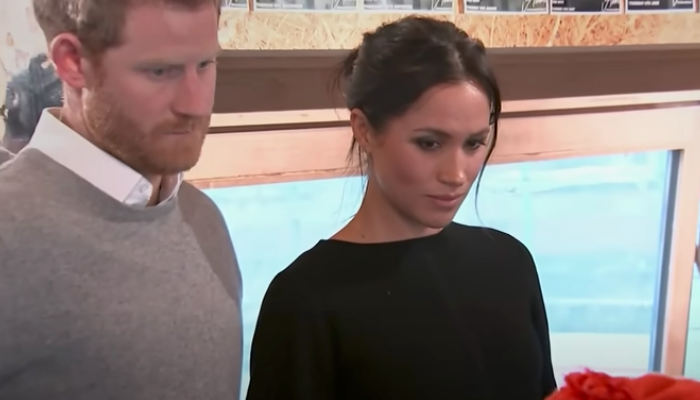 Prince Harry, Meghan Markle Make Money By Trashing Royal Family ...