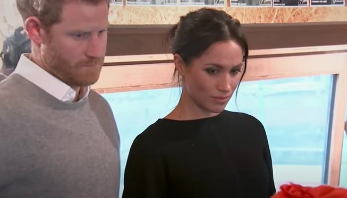 prince-harry-meghan-markle-make-money-by-trashing-royal-family-sussexes-paid-to-say-damaging-things-about-royals-expert-claims