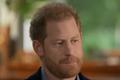 prince-harry-heartbreak-meghan-markles-husband-differentiates-his-levels-of-emotions-following-queen-elizabeth-princess-dianas-deaths-our-mother-was-taken-away-far-too-young