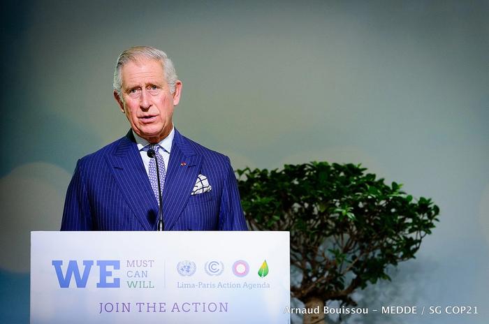 prince-charles-shock-prince-andrew-experienced-the-future-kings-wrath-royal-fears-prince-harry-would-slam-his-relationship-with-camilla-after-princess-dianas-death-in-new-memoir