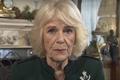 queen-consort-camilla-jealous-of-kate-middletons-youth-popularity-king-charles-iiis-wife-allegedly-berating-prince-williams-wife-over-her-parenting-style