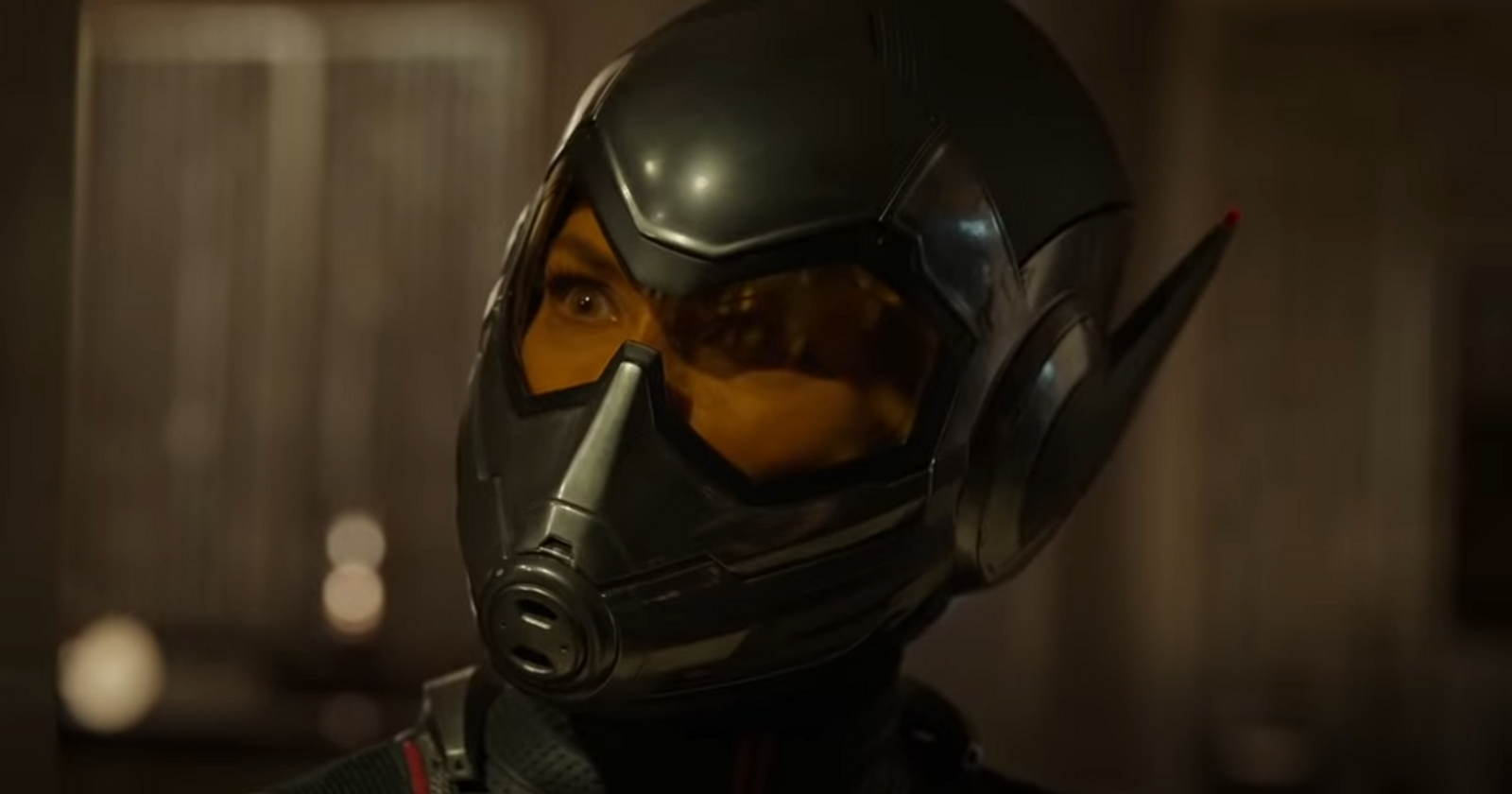 Ant-Man 4 potential release date, cast, plot and more