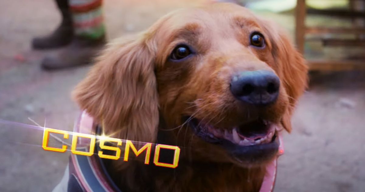 How Did Cosmo the Spacedog Become A Part Of The Team In Marvel's The Guardians of the Galaxy Holiday Special?