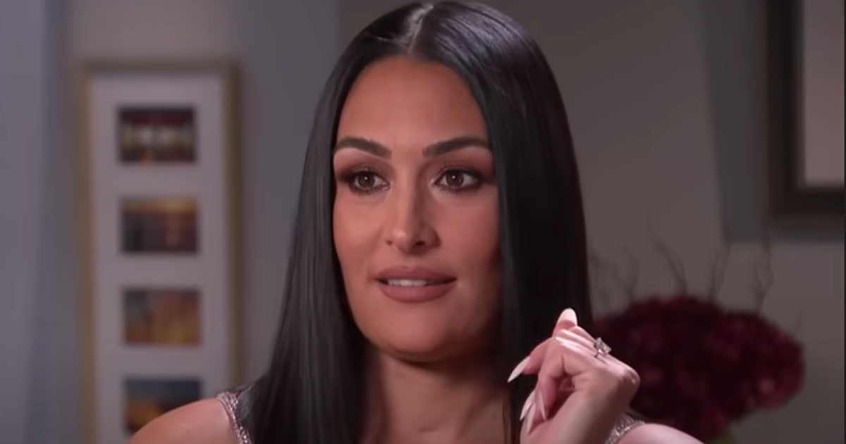 Nikki Bella Net Worth: See the Life and Career of the Twice WWE Divas Champion
