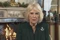 camilla-parker-bowles-shock-prince-charles-wife-vows-never-to-do-this-even-if-her-grandchildren-asked-her-to