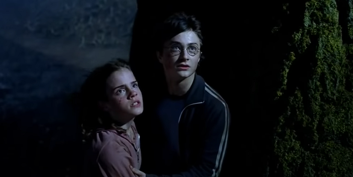 harry potter harry and hermione