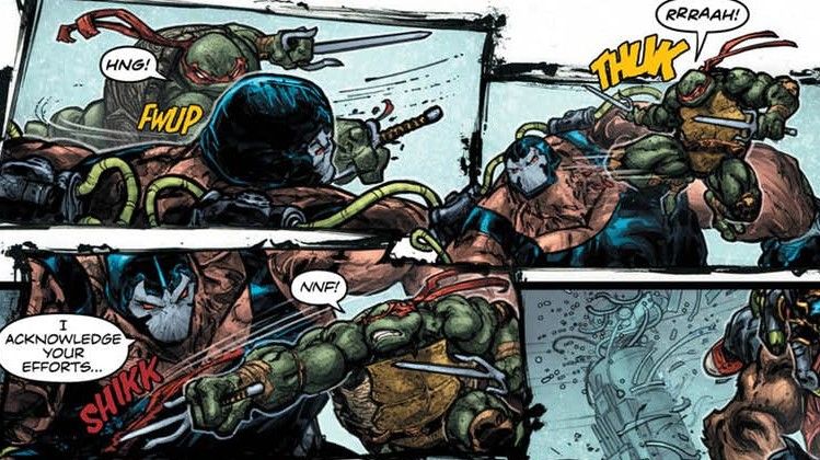 Which Ninja Turtle Is The Strongest? Plus More Answers About TMNT's Comics History