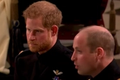 prince-harry-shock-meghan-markles-husband-shades-prince-williams-alarming-hair-loss-in-spare-after-admitting-he-was-doomed-with-the-same-struggles