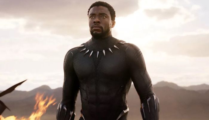 Chadwick Boseman was expected to return in two more 'Black Panther' sequels.