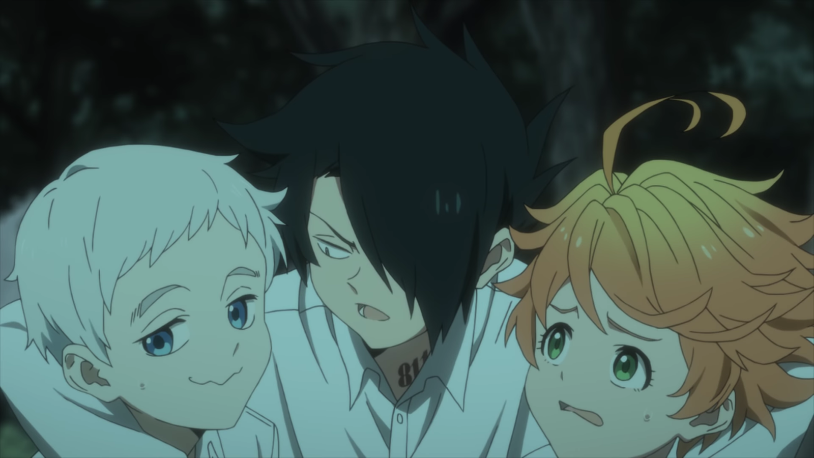 How Many Episodes Will Season 2 of The Promised Neverland Have?