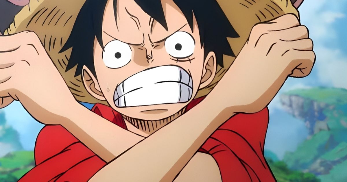One Piece Fans Luffy