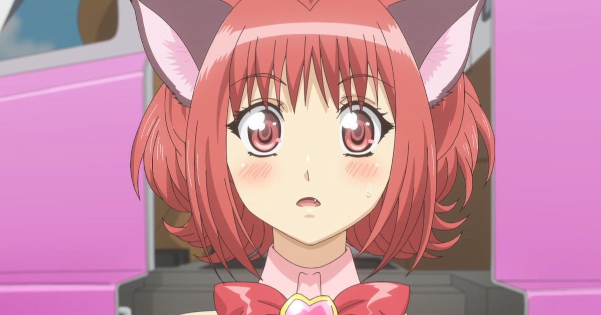 Who Does Ichigo End Up With in Tokyo Mew Mew? 