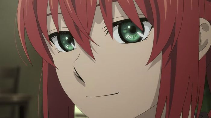 The Ancient Magus' Bride Watch Guide Chise and Elias