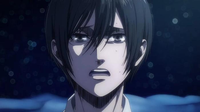 Why Did Mikasa Kill Eren?